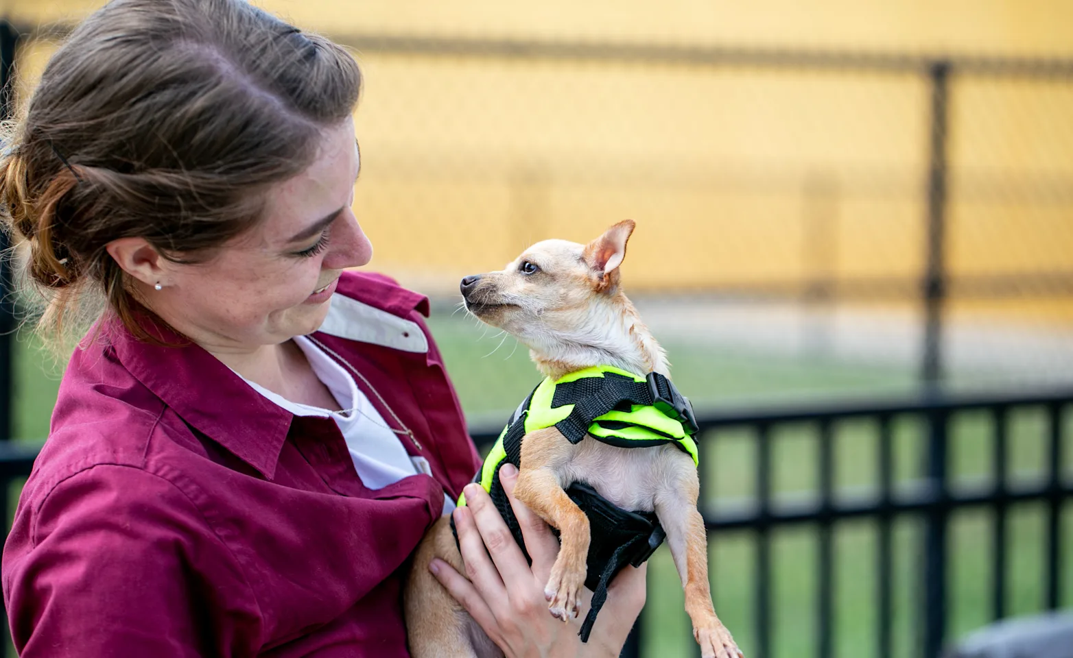 Woman holding a dog Woman holding a dog