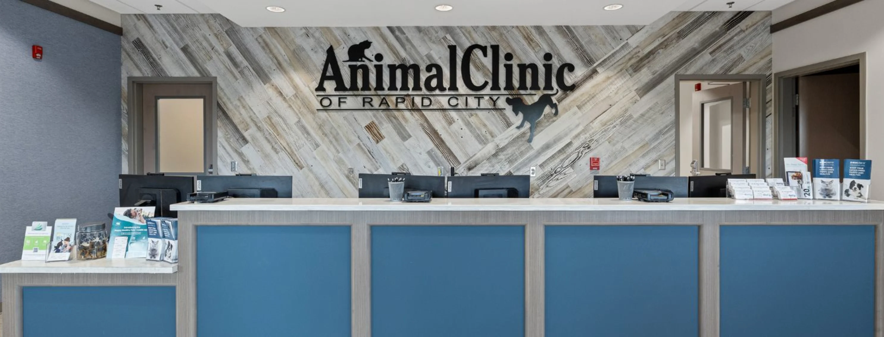 Photo of interior of animal clinic of rapid city Photo of interior of animal clinic of rapid city