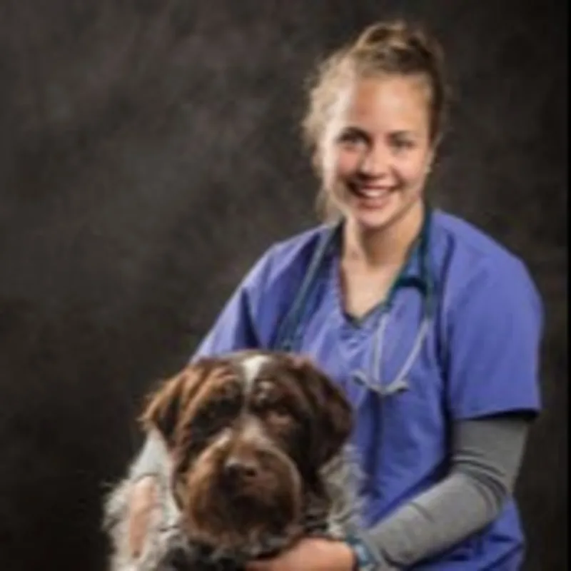 Dr. Heidi Brigman Dr. Heidi Brigman