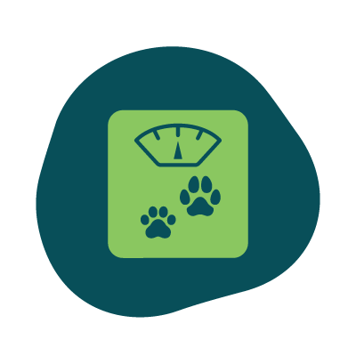 Icon of a weight scale with dog paws
