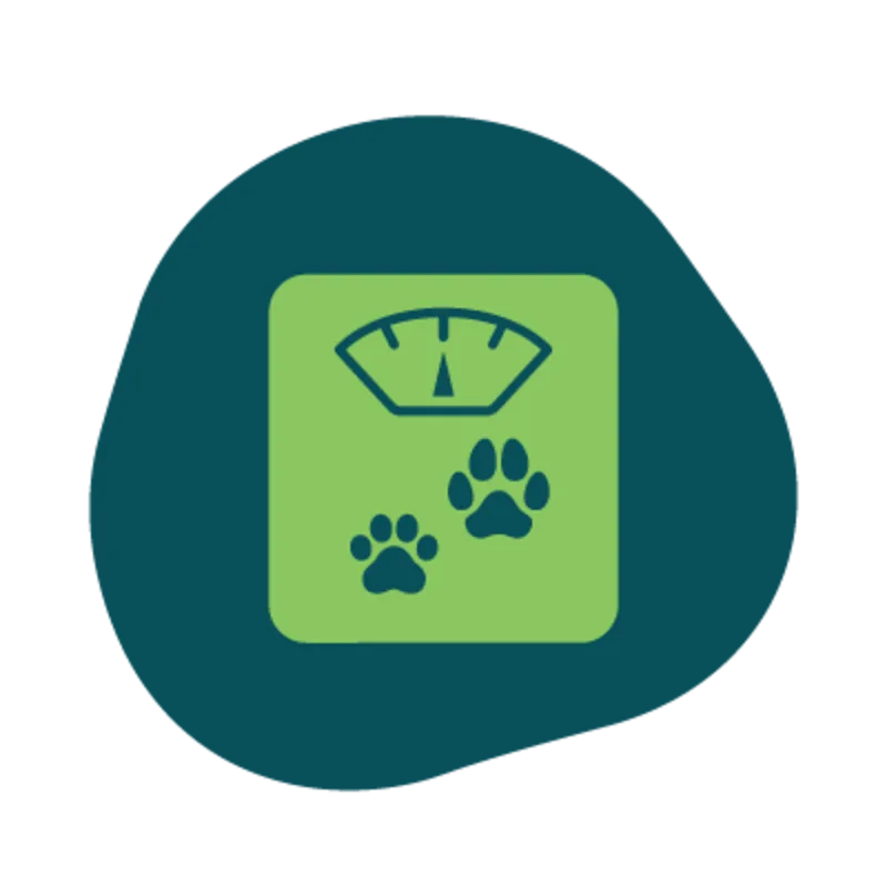 Icon of a weight scale with dog paws Icon of a weight scale with dog paws