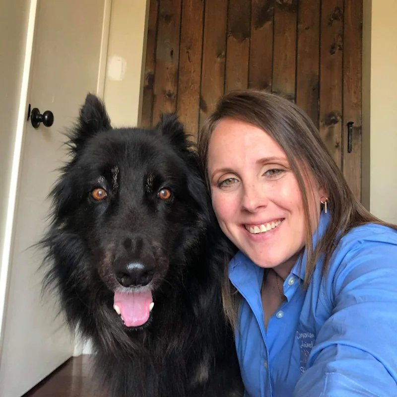 Jana Parson at Companion Animal Hospital Jana Parson at Companion Animal Hospital