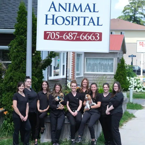 Animal Hospital Gravenhurst staff in front of their sign