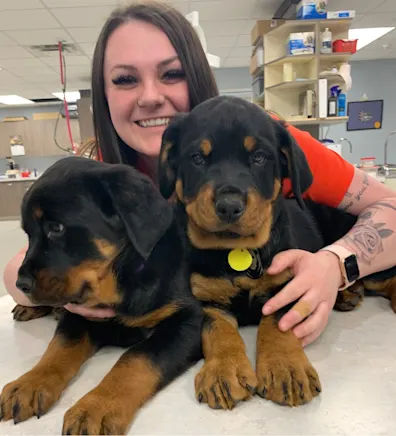 Andrea Davis with 2 puppies Andrea Davis with 2 puppies