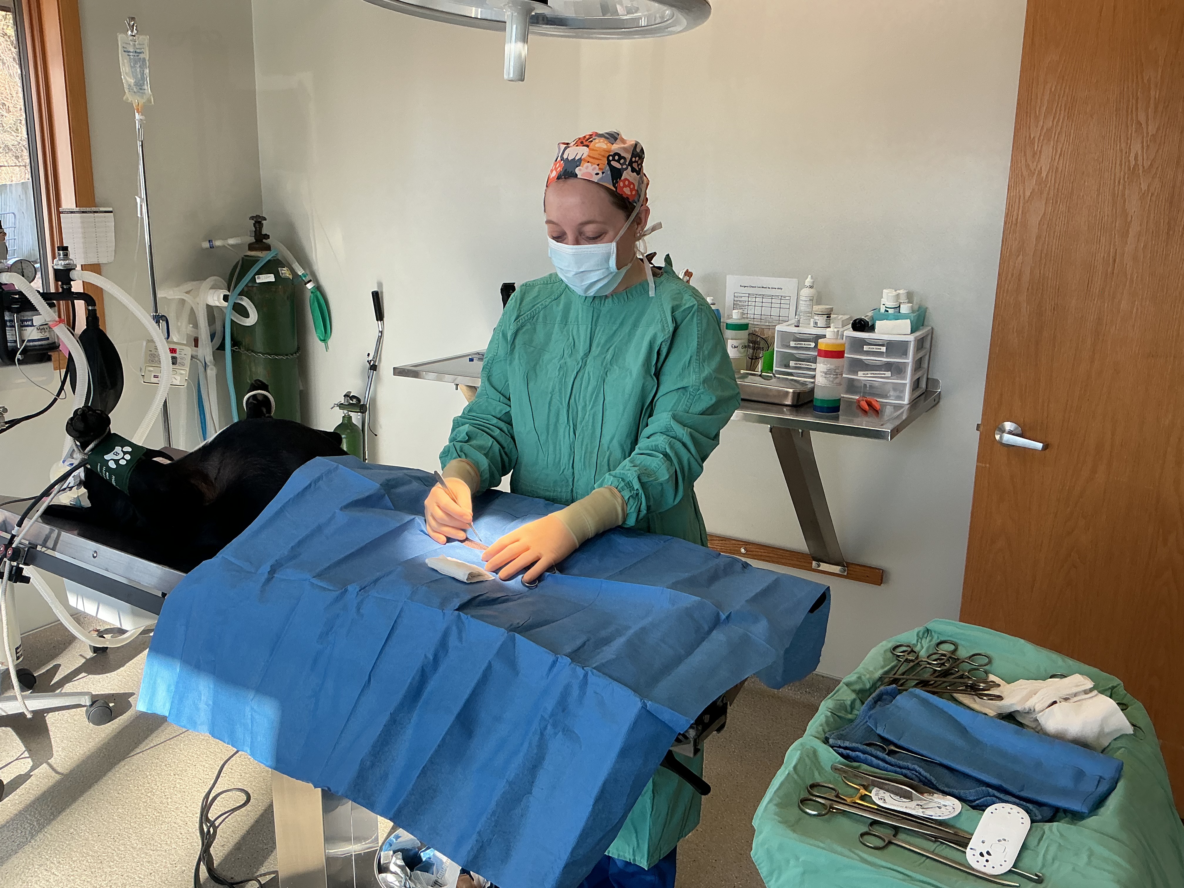 Doctor performing surgery