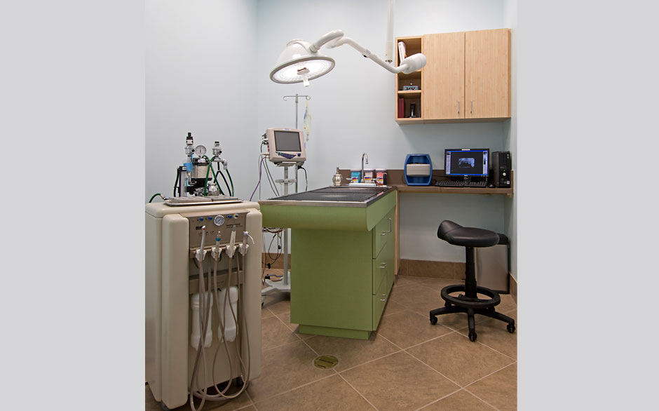 Animal Oasis Veterinary Hospital Anesthesia