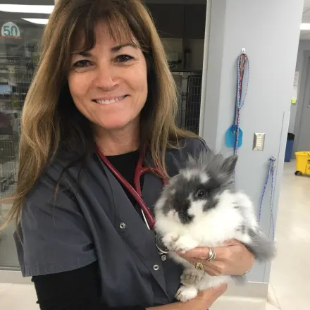 April Weber-Boharski, DVM at Garland Animal Clinic  