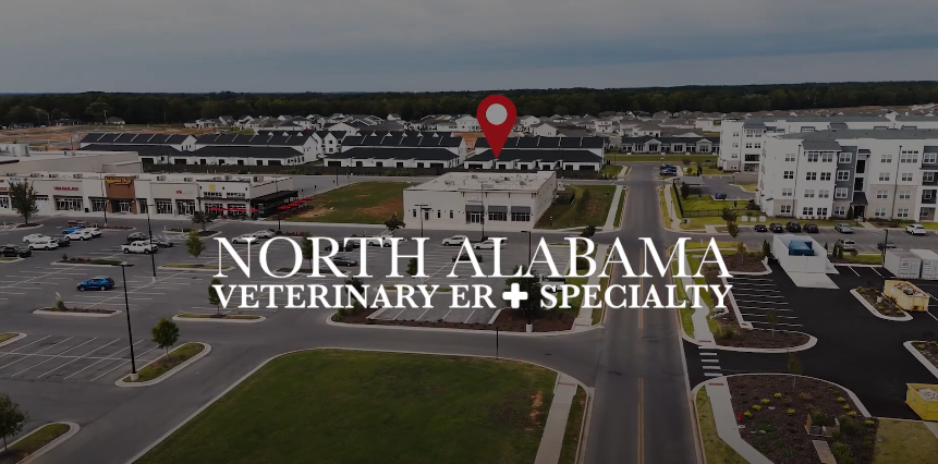 Careers Video Thumbnail