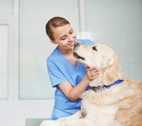 Staff member giving a dog a check up