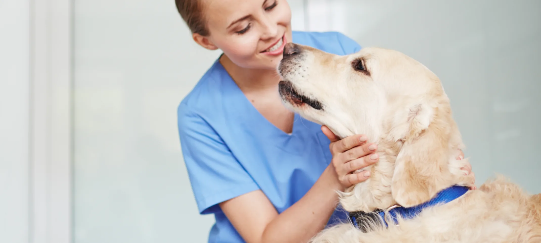 Staff member giving a dog a check up