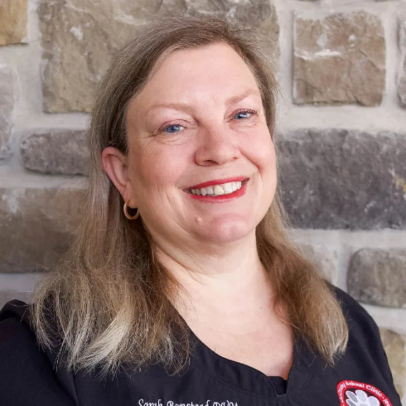 Sarah Bonstead Sarah Bonstead