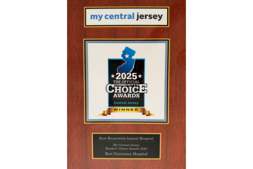 2025 Choice Awards Winner Award