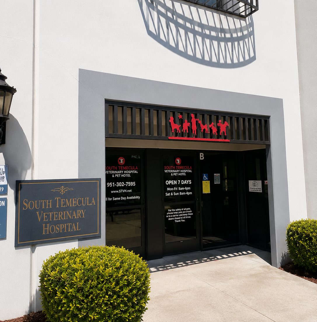  Building entrance to South Temecula Veterinary Hospital Hospital.