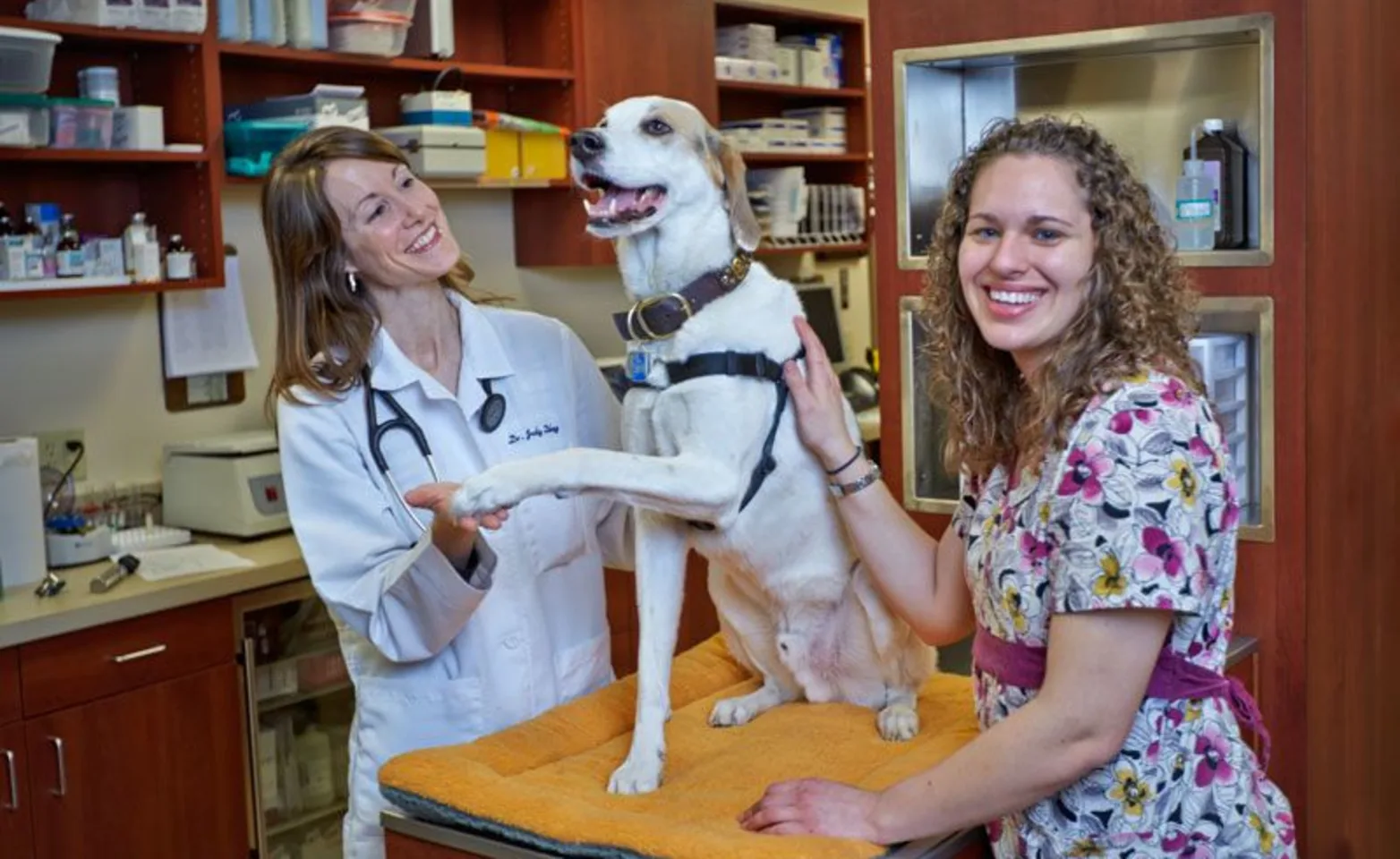 Two vets posing with smiling white dog. Two vets posing with smiling white dog.