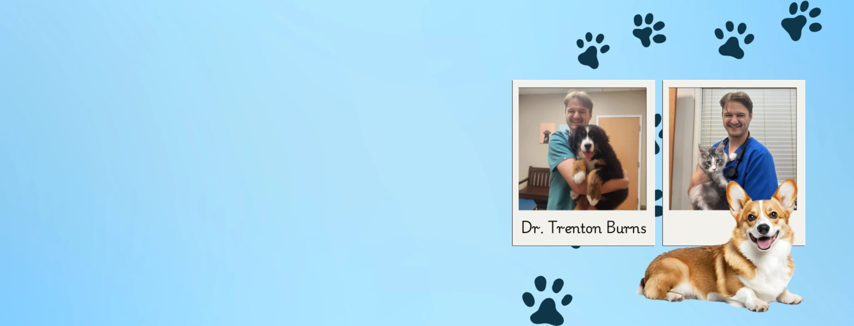 Dr. Trenton Burns Dr. Trenton Burns