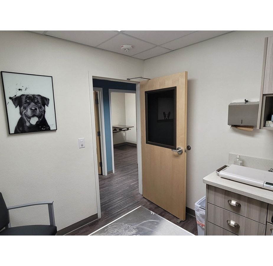 Exam Room in Cheyenne Tonopah Animal Hospital
