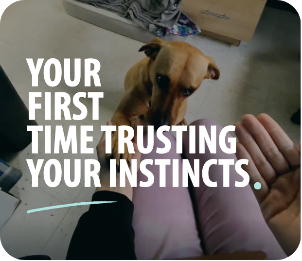  Your First Time Trusting Your Instincts