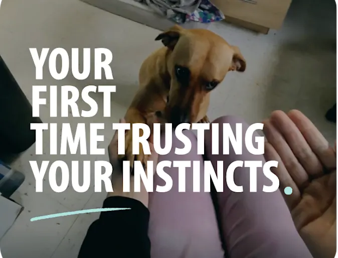 Your First Time Trusting Your Instincts Your First Time Trusting Your Instincts