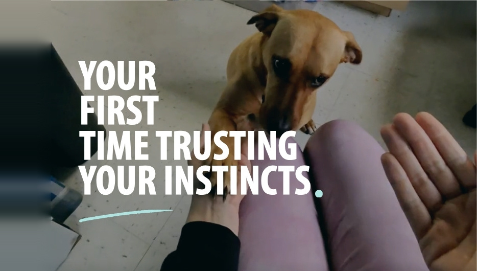  Your First Time Trusting Your Instincts