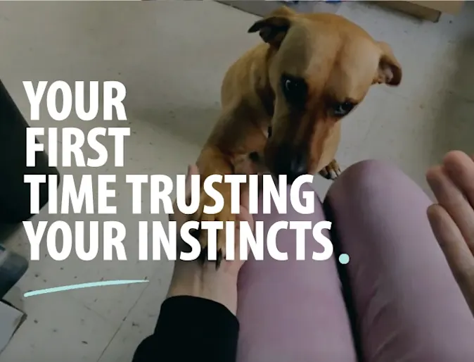 Your First Time Trusting Your Instincts Your First Time Trusting Your Instincts
