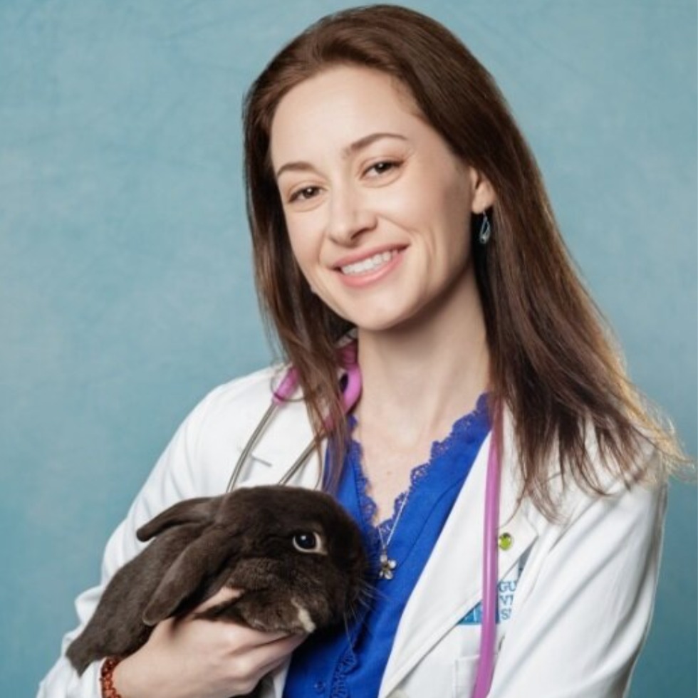 Headshot of Susan Baley