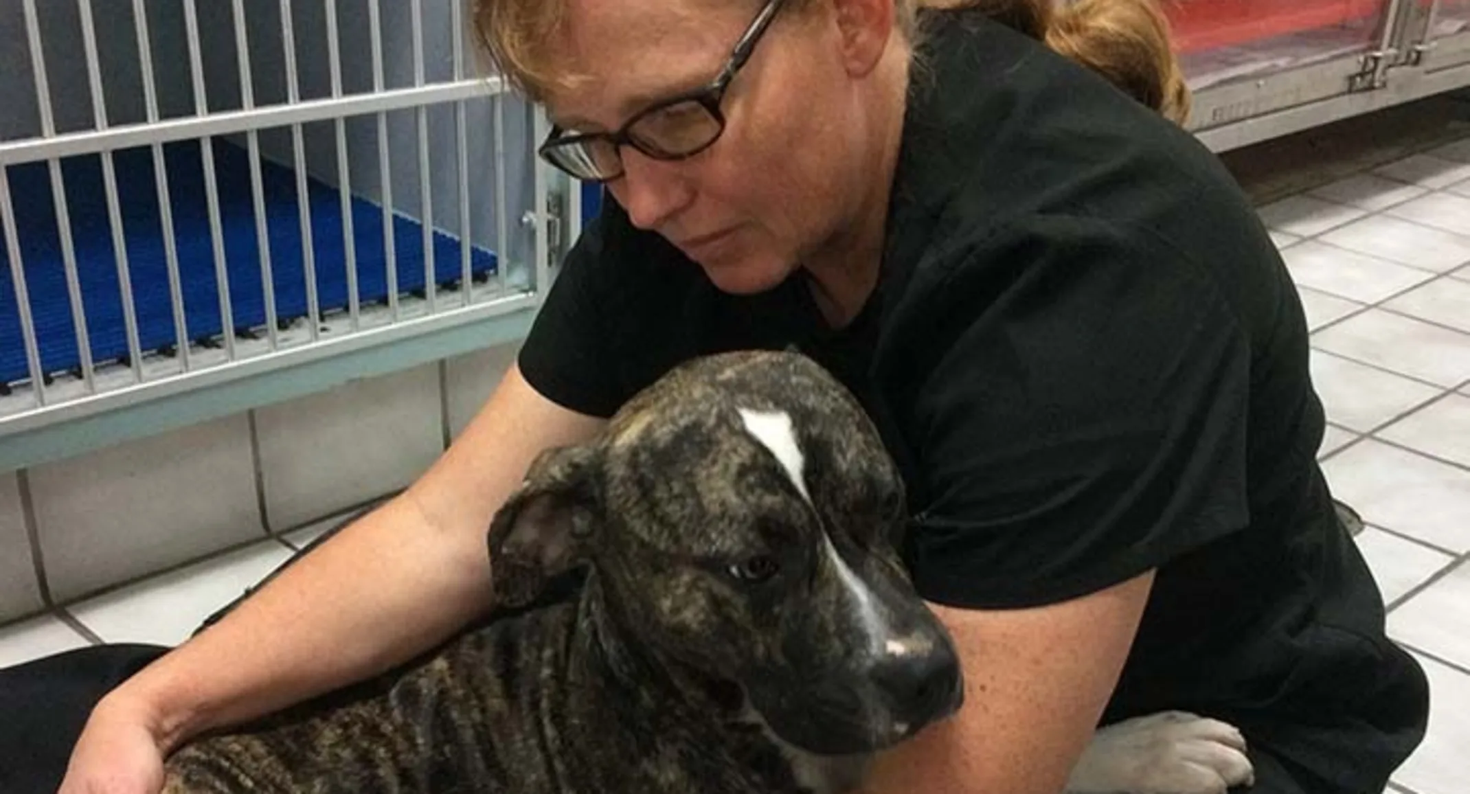 Dr. Holly Smith with dog on floor