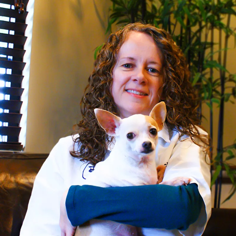 Dr. Rita Kivircik Dr. Rita Kivircik