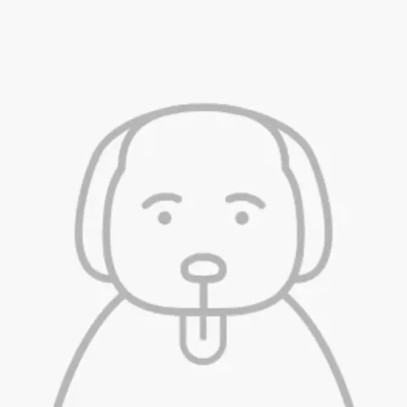 Brian MacKie Brian MacKie