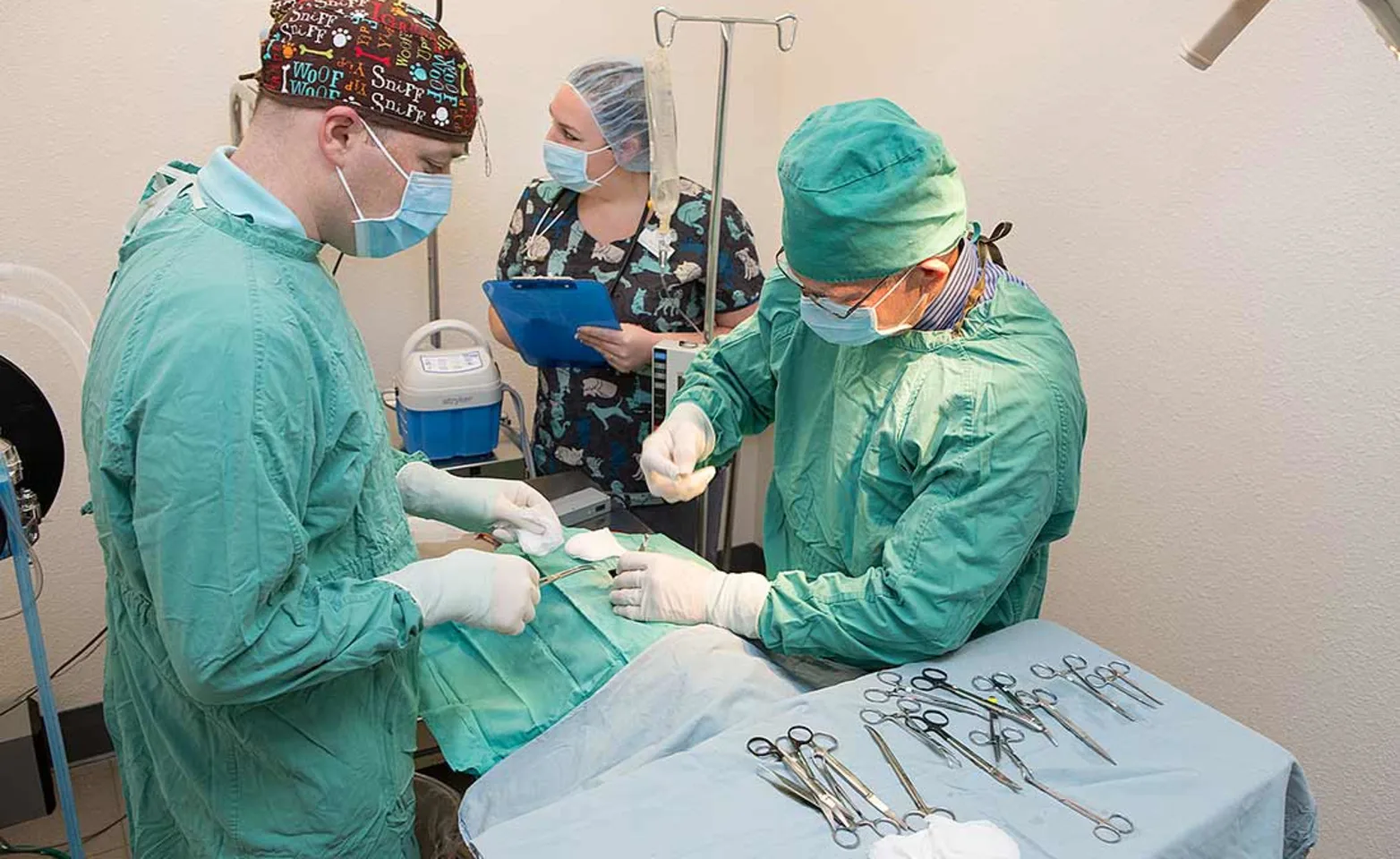 2 veterinary doctors performing surgery at Goldorado Animal Hospital