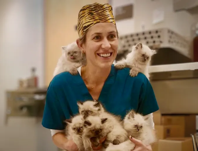 Meet Dr. Katherine Wheeler: Northeast Veterinarian of the Year Meet Dr. Katherine Wheeler: Northeast Veterinarian of the Year