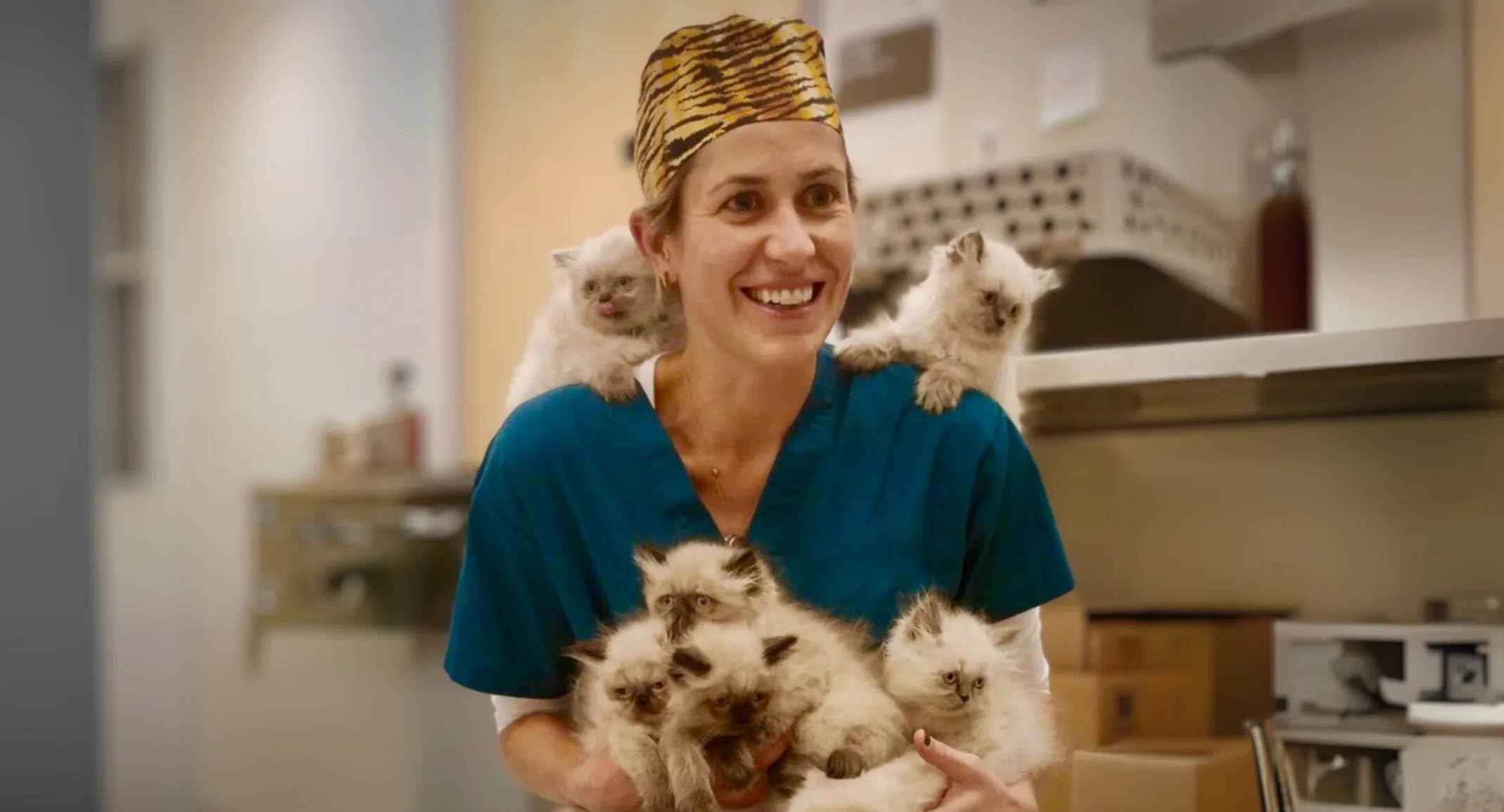 Meet Dr. Katherine Wheeler: Northeast Veterinarian of the Year Meet Dr. Katherine Wheeler: Northeast Veterinarian of the Year