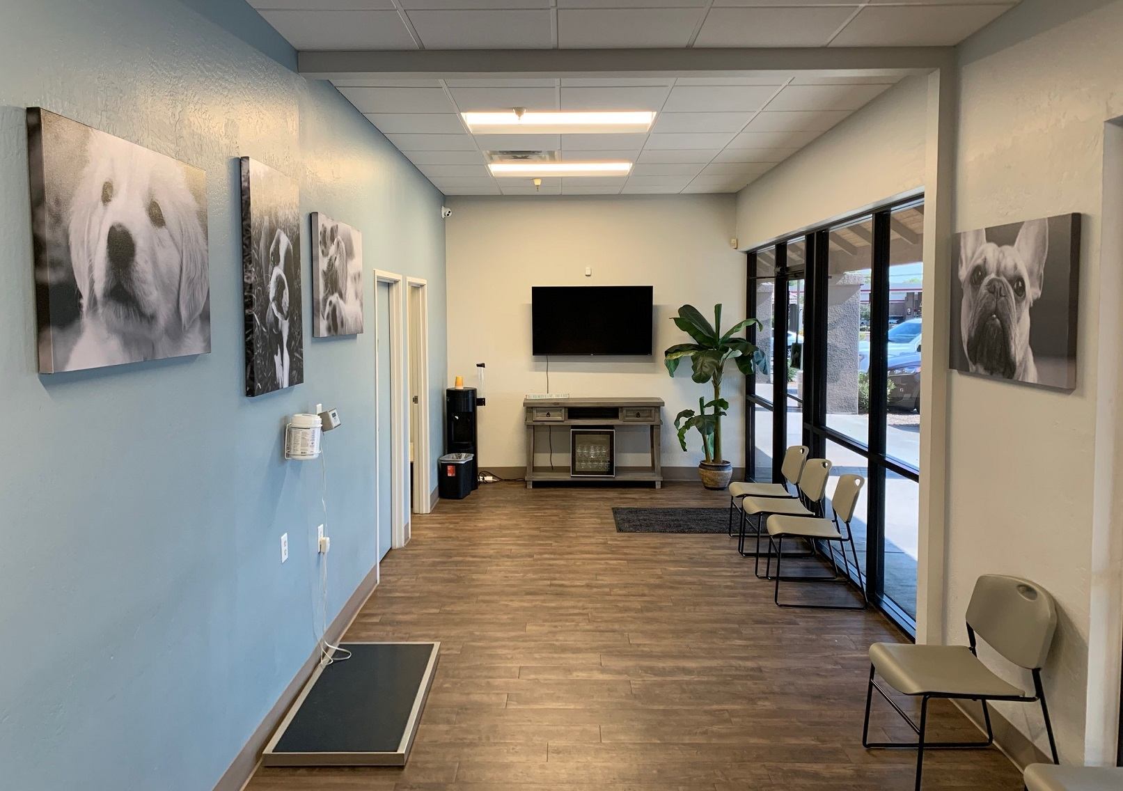 Lobby at All Creatures Animal Clinic