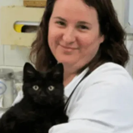 Dr. Trish McAfee, veterinarian at Kruger Animal Hospital in Normal, IL.