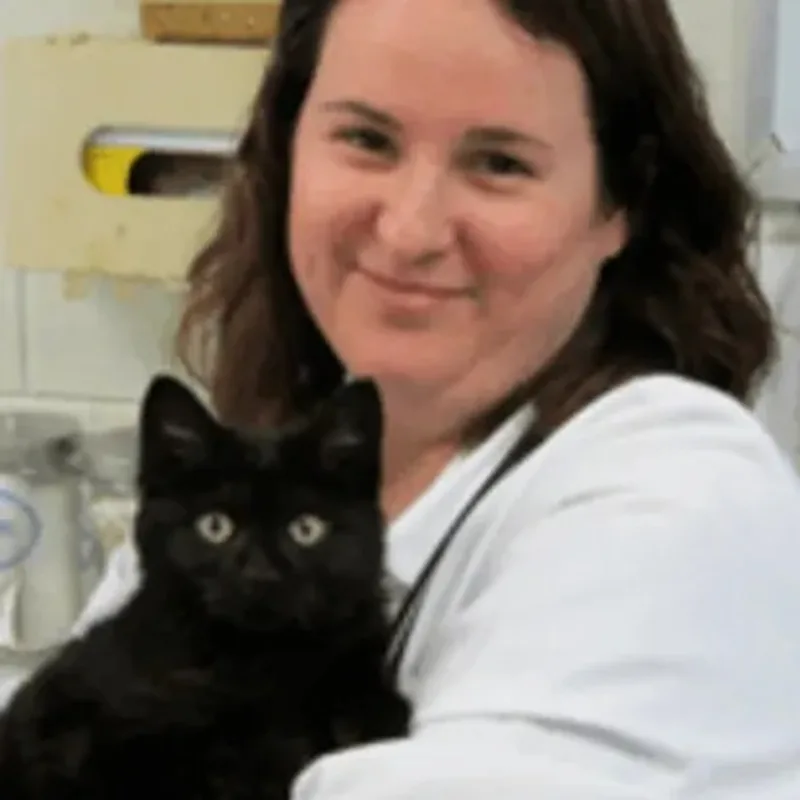 Dr. Trish McAfee, veterinarian at Kruger Animal Hospital in Normal, IL. Dr. Trish McAfee, veterinarian at Kruger Animal Hospital in Normal, IL.