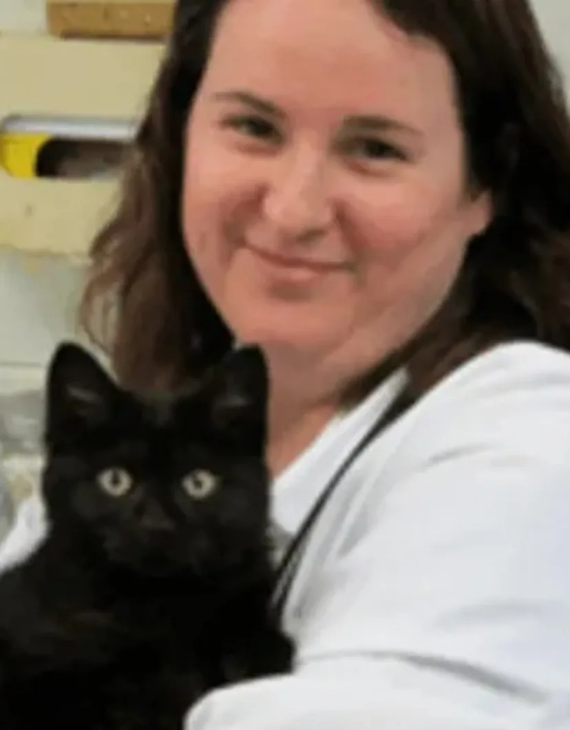 Dr. Trish McAfee, veterinarian at Kruger Animal Hospital in Normal, IL.