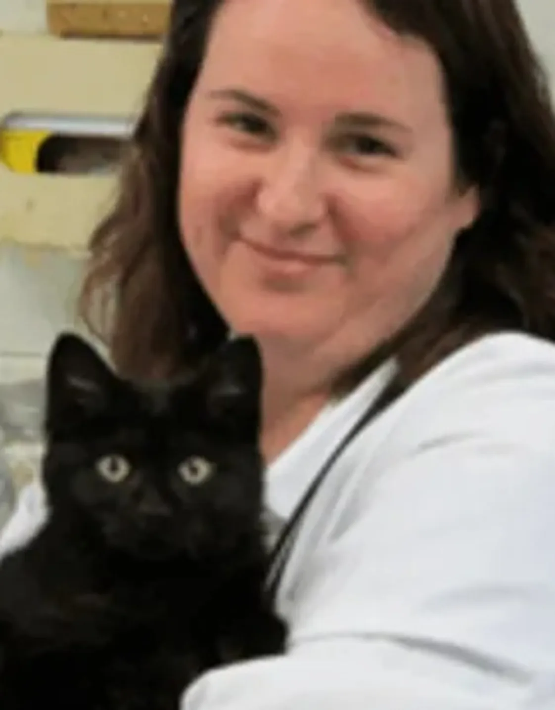 Dr. Trish McAfee, veterinarian at Kruger Animal Hospital in Normal, IL. Dr. Trish McAfee, veterinarian at Kruger Animal Hospital in Normal, IL.