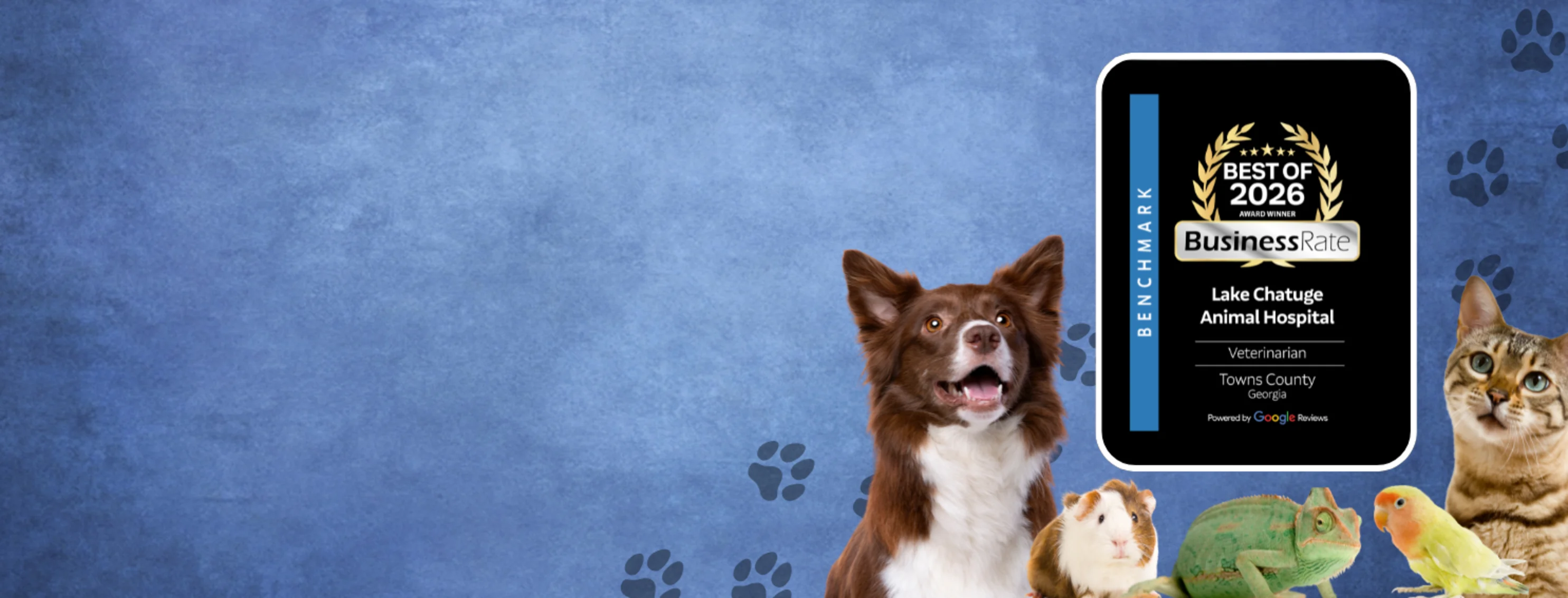 Best of 2026 Business Rate Award Best of 2026 Business Rate Award