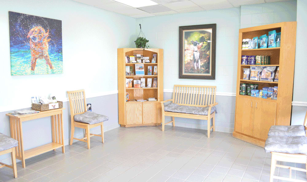 lobby area at Hidden Valley Animal Hospital