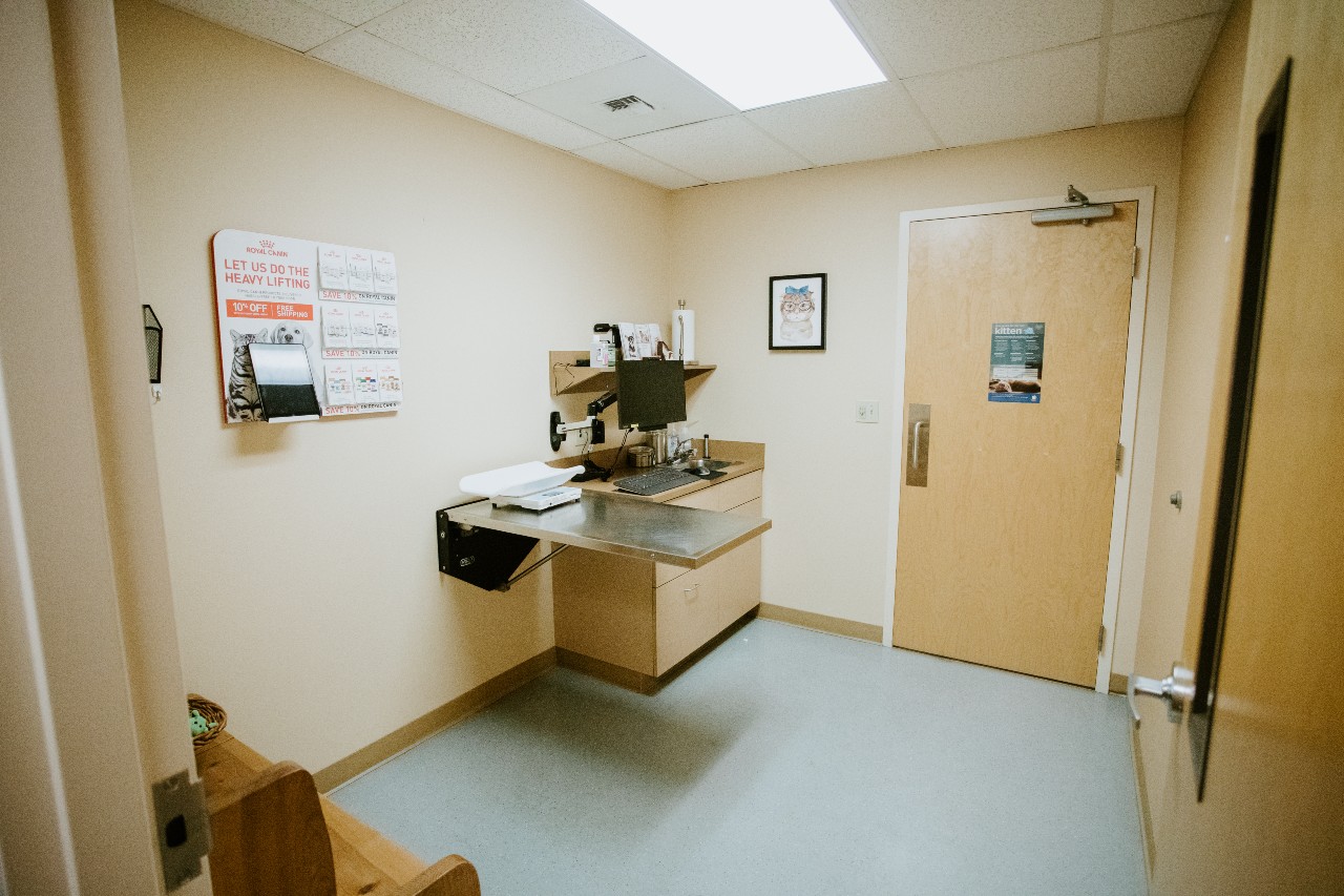 North Creek Pet Hospital Exam Room