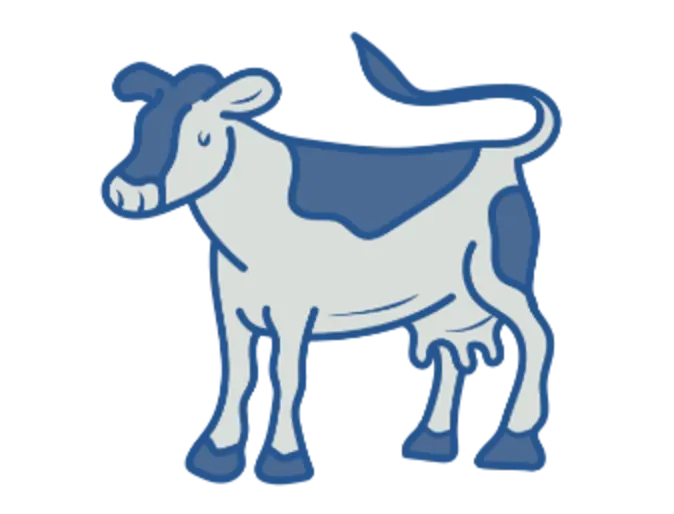 Cow illustration Cow illustration