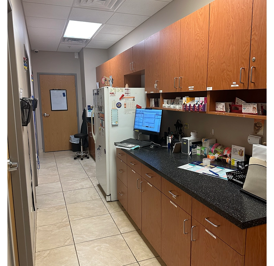 Treatment Area at Wining Creek Animal Hospital