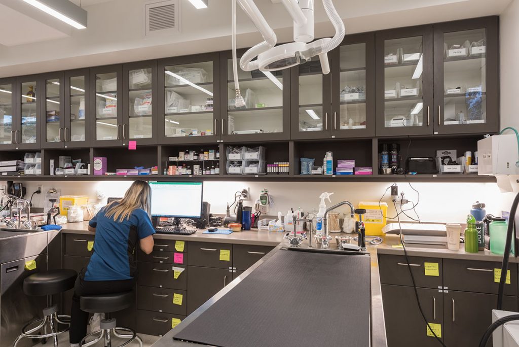 Inside Mountainside 24/7 Animal Emergency