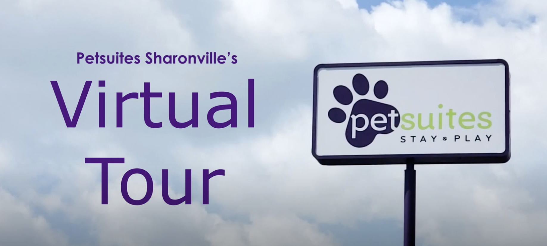 Pet Boarding & Daycare in Cincinnati, OH PetSuites Sharonville