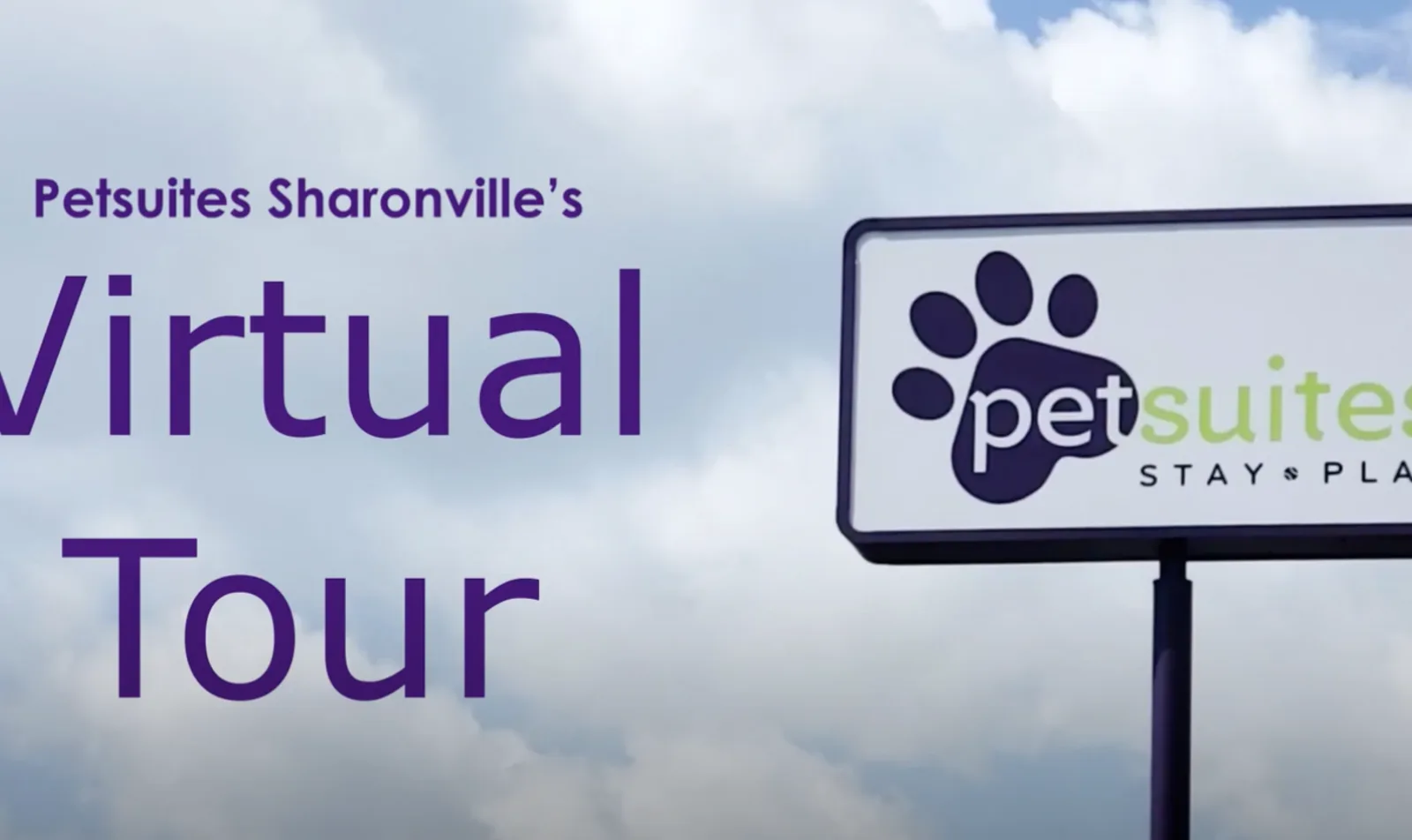 PetSuites Sharonville Virtual Tour