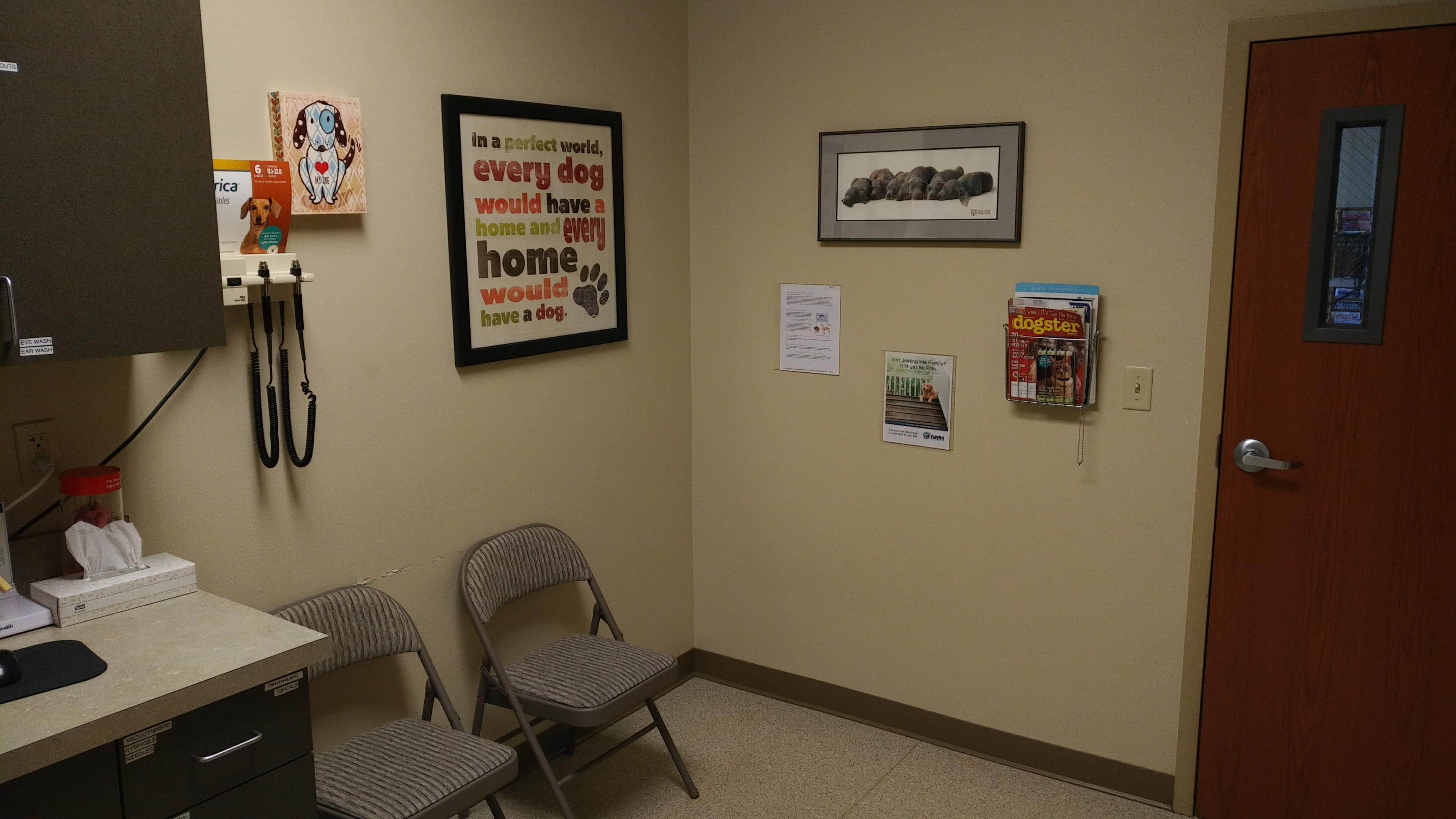 A room for patients with chairs and posters on the wall 