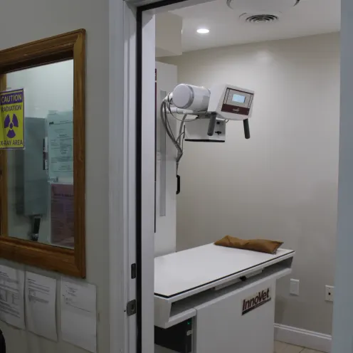 X-ray room inside First Avenue Veterinary Hospital