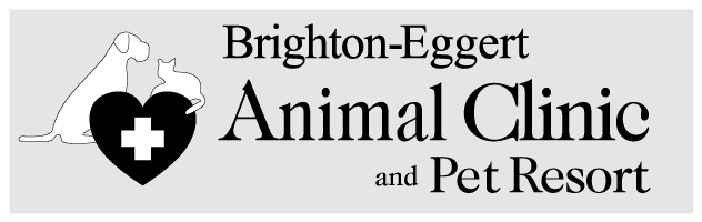 Brighton Eggert Animal Clinic FooterLogo