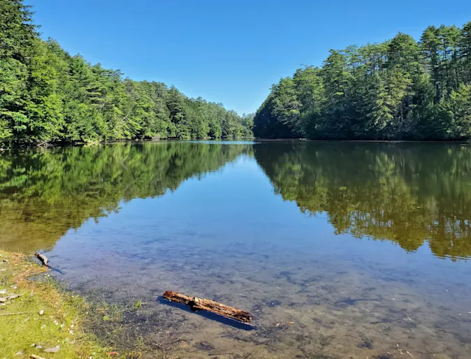Storrs Pond Storrs Pond