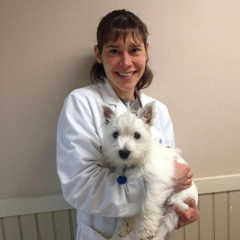 DVM Laurie Farragher holding a dog DVM Laurie Farragher holding a dog