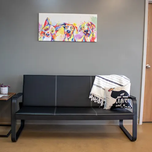 Waiting Area Waiting Area